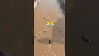 Current situation of mingora Swat flood #swat #flood2025 #subscribe #support #quran