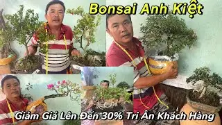 Kiệt: 0369686464. Giảm Gi&aacute; L&ecirc;n Đến 30% Đa Dạng C&aacute;c C&acirc;y Gi&aacute; Rẻ Chơi Tết