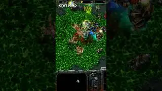 Human vs Orc cavalry \\ Warcraft 3 Frozen Throne NPC editing