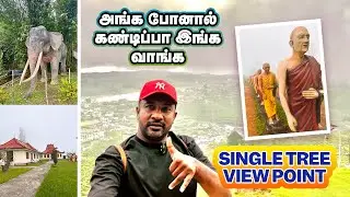 இலங்கையில் மனதை மயக்கும் மலை பகுதி 🏔️ | Nuwara Eliya Single Tree Hill | Life Of Rajiv | 
