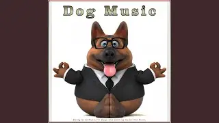 Background Music for Dogs
