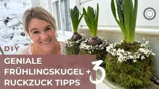 DIY - FRÜHLINGSTREND - Einfache Dekotipps mit HYAZINTHEN