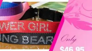 Custom Wedding Dog Collar with Rhinestones - AdvantageBridal.com