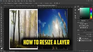 How to resize a layer in Photoshop