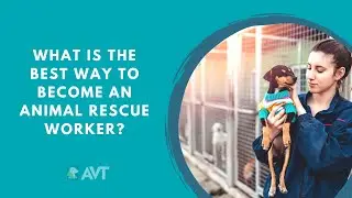 What is the best way to become an Animal Rescue or Shelter Worker