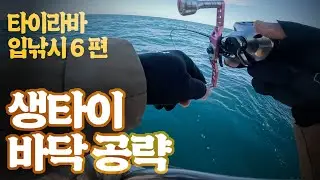 [타이라바] 입낚시 6부 - 헤드 무게 응용하기