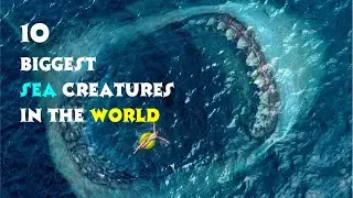 The 10 Biggest Sea Creatures In The World