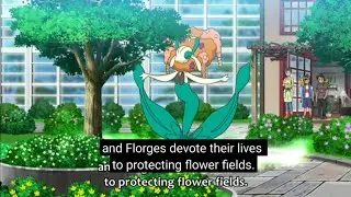 Pokemon Sword And Shield Official Episode 66 Title and Summary Explanation In Hindi