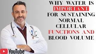 Why Water is Important for Sustaining Normal Cellular Functions and Blood Volume