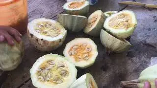 Sacando semillas de nuestras calabazas y preparando la cena | Nuestra vida en OaxacaJanuary 5, 2026