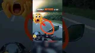 #мяу