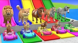 Long Slide Game With Cow Elephant Gorilla Hippopotamus Tiger 3d Animal Game Funny 3d Animals