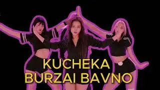 NOVO KUCHEK 2024 KUCHEKA BURZAI BAVNO HIT
