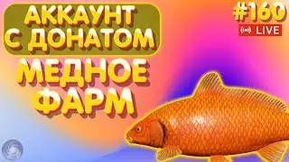 Медное - ФАРМ 🔥 Аккаунт с донатом #160 стрим 🔥 ПРЕМ и ЗОЛОТО в боксе Trovo 🔥 Русская Рыбалка 4