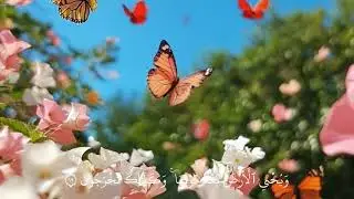 استخدم الصوت 🤍🌿🌷#shortsfeed #duet #اهميه #shortsfeed #اعتني 