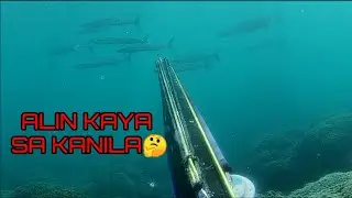 \{ALIN KAYA SA KANILA🤔} /#fish #fishing #spearfishingphilippines #FREEDIVING