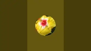 Aesthetic flora is live welcome to my live 💐
