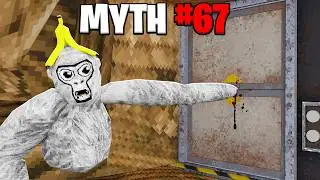 busting 738,472,297 myths in gorilla tag