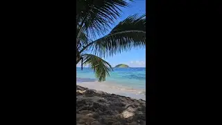 Relaxing Under the Palm Shade on the Sandy Beach