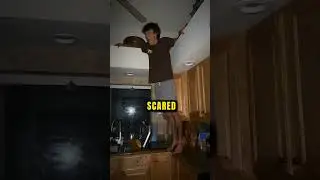 This Real-Life Horror Game Went Too Far&hellip;
