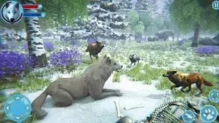 Arctic Wolf Family Simulator | New Gameplay