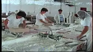 Jadran Negotino 1991 godina By Sasko Kordov