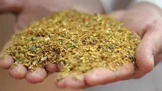 Customer Testimonial - JG Pears - Petfood - Italian Subtitles