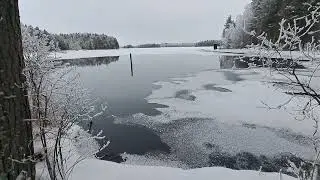 Kissakosken kuuraa