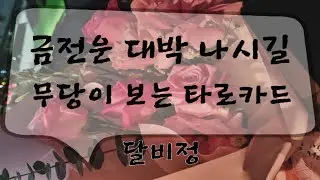 이걸 보시는 분들 모두 행복만 가득하세요 #타로리딩 #신년운세 #궁합 #사주 #금전운