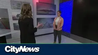 Alberta artist advocating for compensation issues in music industry