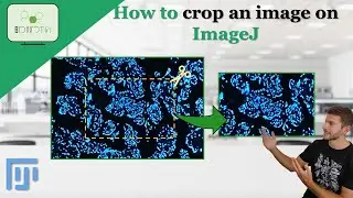How to CROP an IMAGE on ImageJ #imageanalysis #imagej #crop #science #tutorial