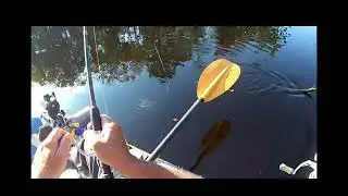 Waccamaw river myrtle beach area kayak fishing in October