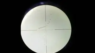 Laras PD12