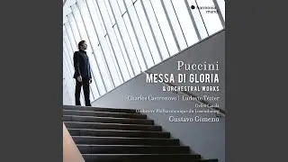 Capriccio sinfonico, SC 55