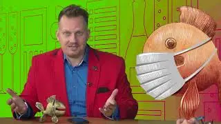 Happy TV odc.  4 Złota Ryba