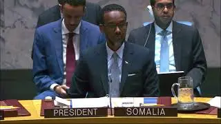 United Nations Security Council, 10,086th Meeting - Situation in Syria