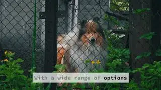 Security Fencing