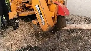 Stump Grinding (SLOW MOTION)