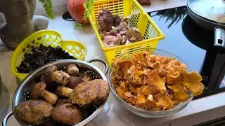 Funghi invernali Prima di Natale 🎄  Un paniere pieno ‼️Ricetta di mio Amico 🍝