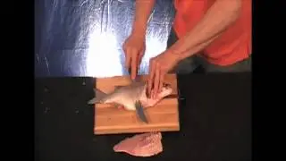 Filleting Fish With Your Quick Fillet Tool