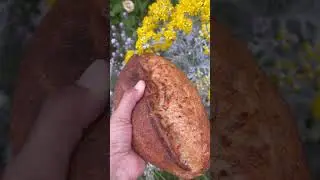 Artisanal Loaf #asmr