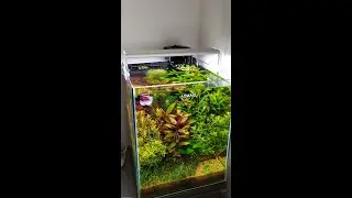 19l Pr&iacute;rody a radosti 🌿 🌱  🐌 💧 🐠