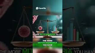 😲 Transform Your Body: Mitolyn Fat-Burning & Energy-Boosting Miracle 💊 #fatburner #healthyliving
