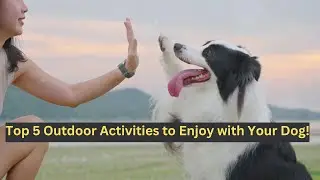 Top 5 Outdoor Activities to Enjoy with Your Dog!