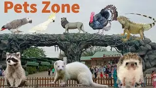 Statue Of Unity Ep 1| Jungle safari Part 1 - Pets Zone Tour | Safar E Hindustan