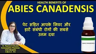 पेट की अनेक बीमारिओ के लिए अमृत तुल्य होम्योपैथिक दवा |Abies Canadensis Homeopathic Medicine