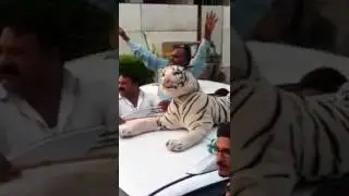 PML NA-83 to show Solidarity with Mian Nawa Sharif
