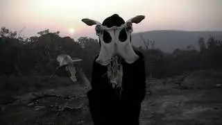 Tangled Thoughts of Leaving - The Alarmist
