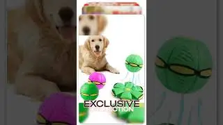 Dog Pop Up Flying Saucer Ball