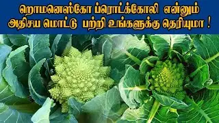 றொமனெஸ்கோ ப்ரொட்க்கோலி  என்னும் அதிசய மொட்டு பற்றி  உங்களுக்கு தெரியுமா| RjVinoth | Intresting fact
